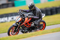 PJ-Motorsport-2019;anglesey-no-limits-trackday;anglesey-photographs;anglesey-trackday-photographs;enduro-digital-images;event-digital-images;eventdigitalimages;no-limits-trackdays;peter-wileman-photography;racing-digital-images;trac-mon;trackday-digital-images;trackday-photos;ty-croes